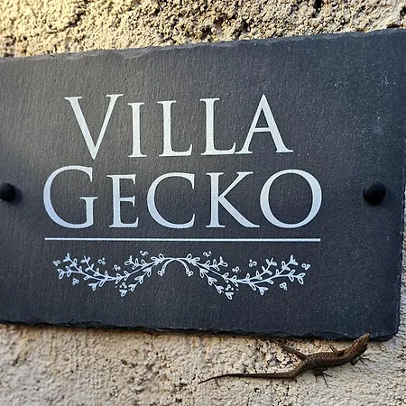 Gecko, Arillas Case de vacanță